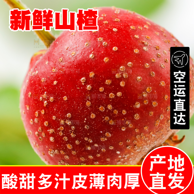白底上的山楂