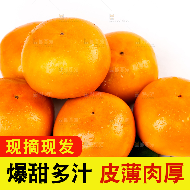 白底上一堆巧克力柿子