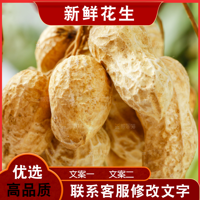 白底上放着一堆新鲜花生