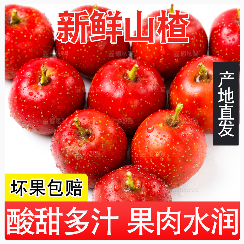 白底上的山楂果