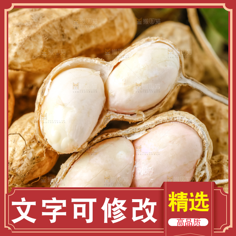 白底上的新鲜花生
