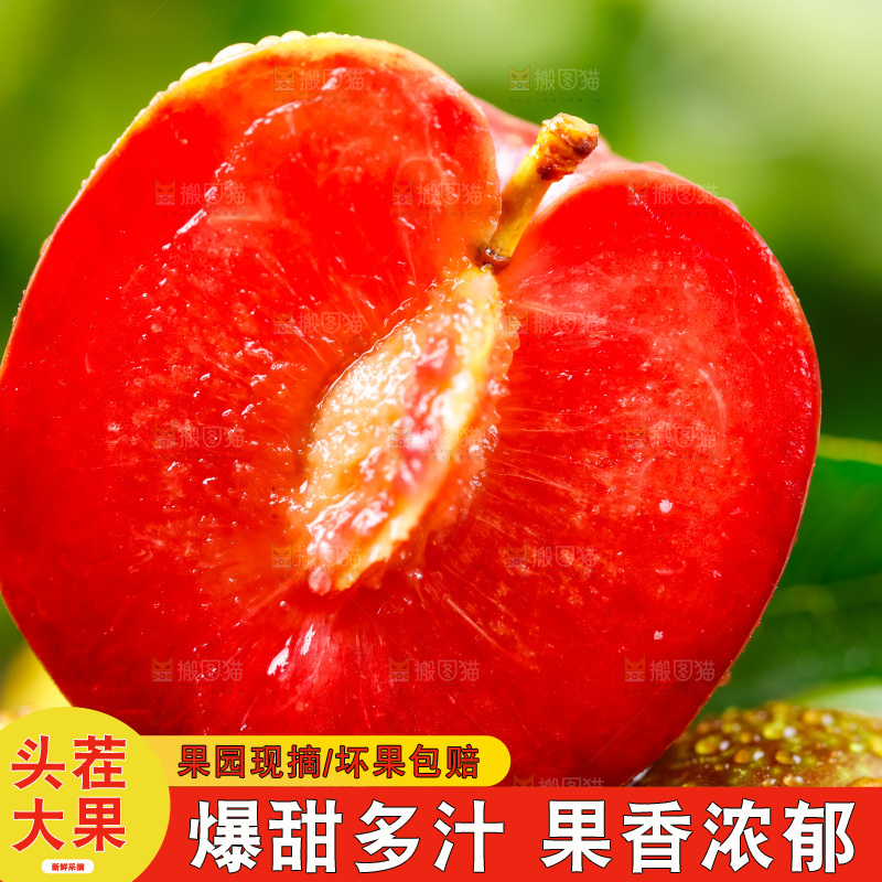 深底上放着新鲜三华李