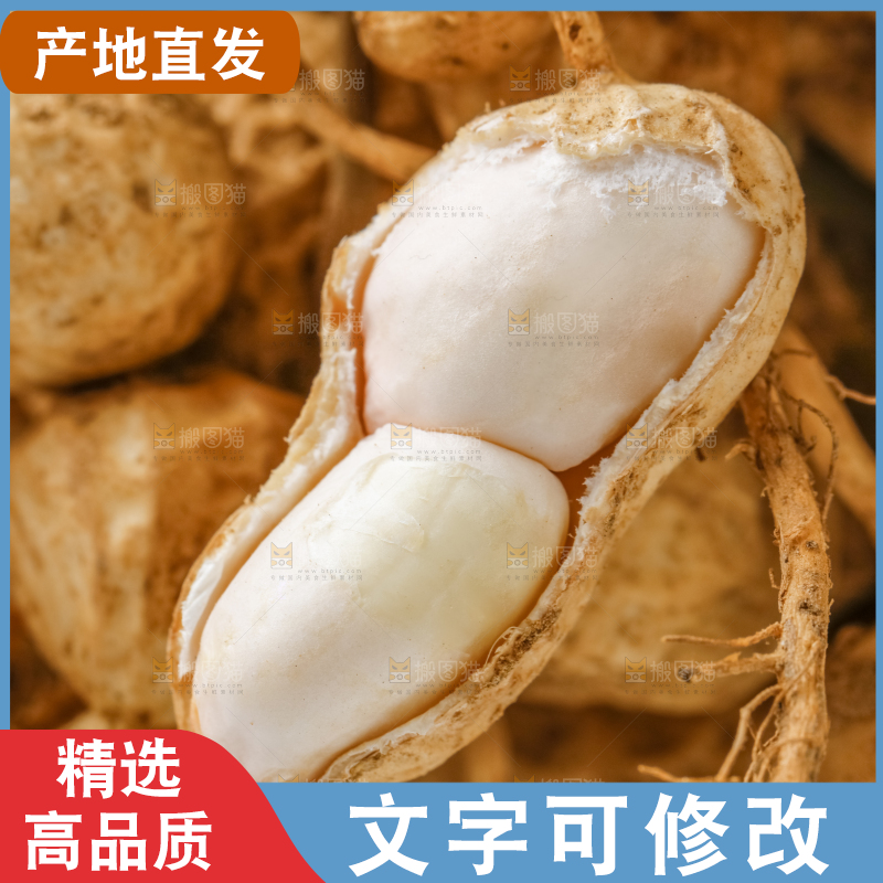 一堆新鲜带壳的花生