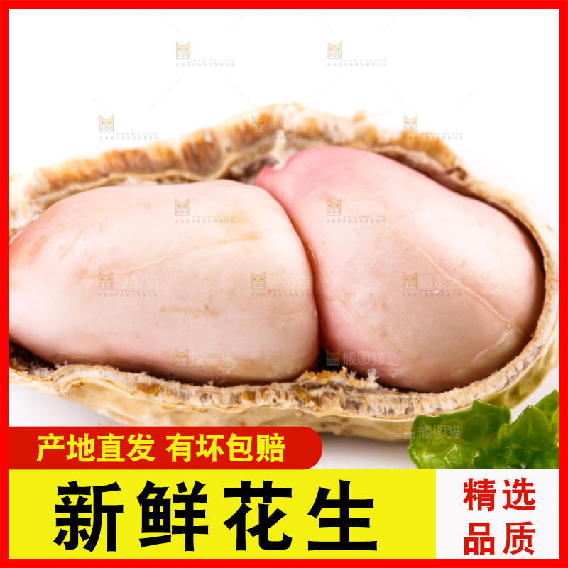 白底上的湿花生