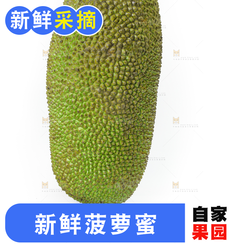 白底上放着一个完整的菠萝蜜