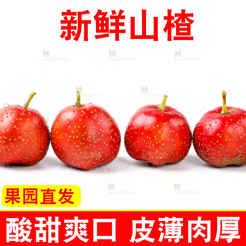 白底上的山楂果