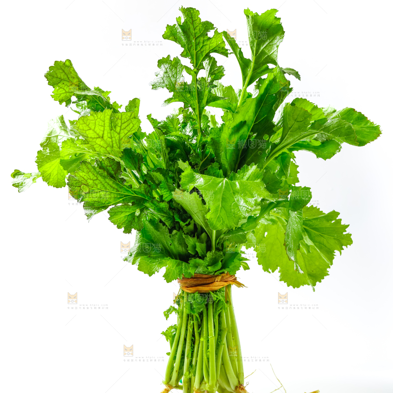 白底上的腊菜