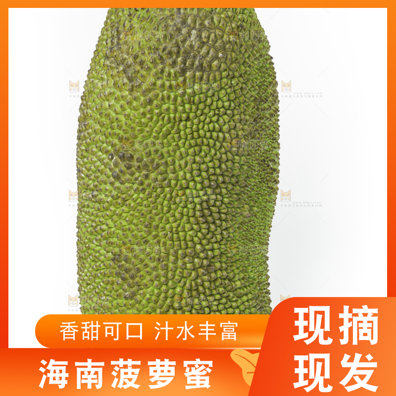 白底上放着一个完整的菠萝蜜