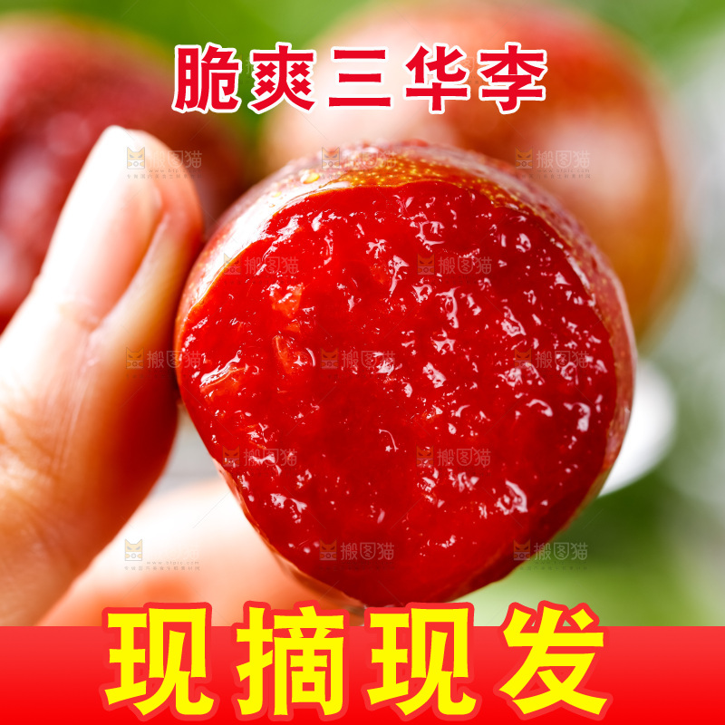 红肉三华李主图