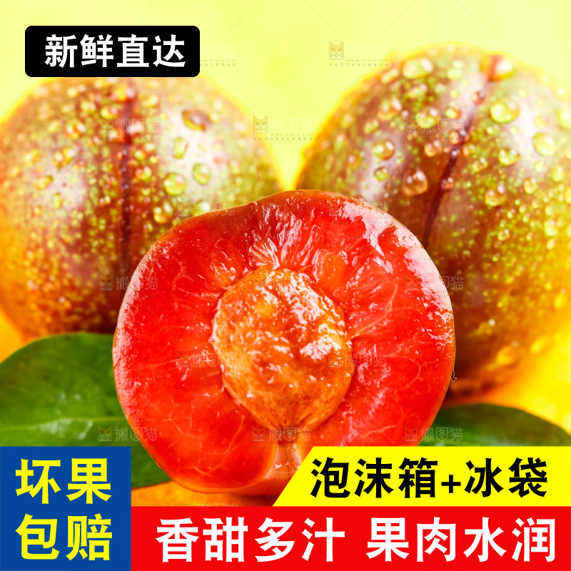 浅底上放着钱排三华李