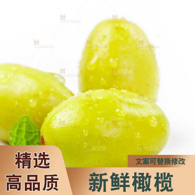 白底上的橄榄果