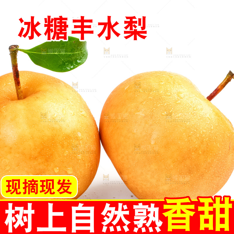 白底上摆放着新鲜丰水梨
