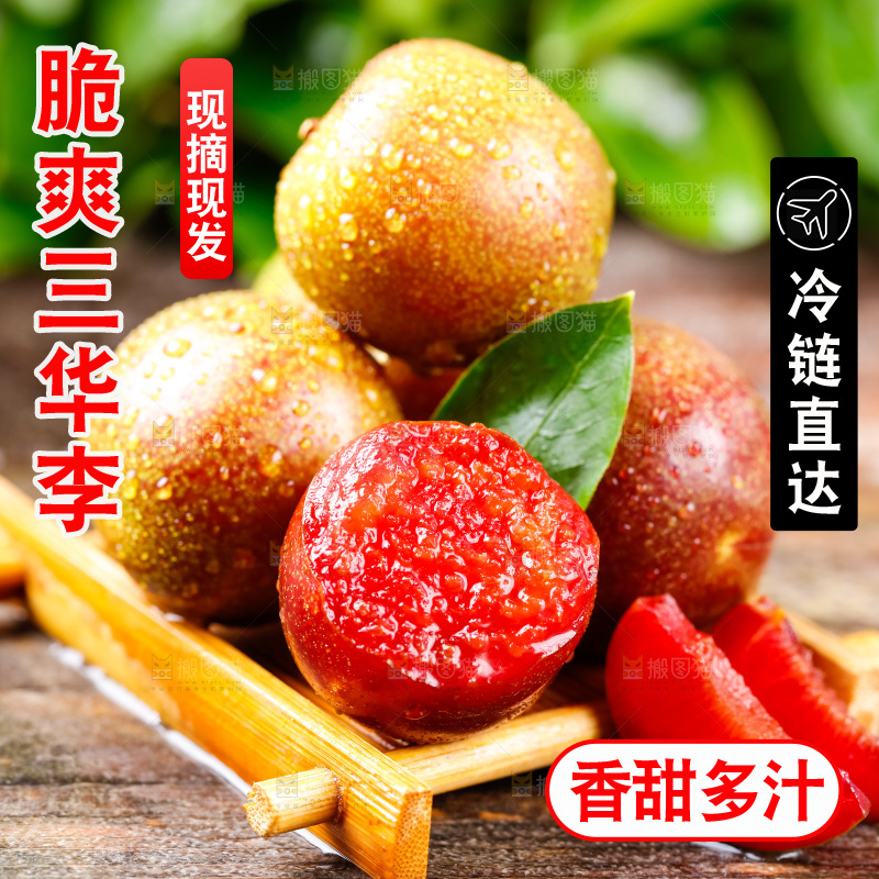 木盒里装着钱排三华李