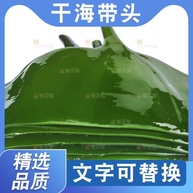 白底上摆放着海带头