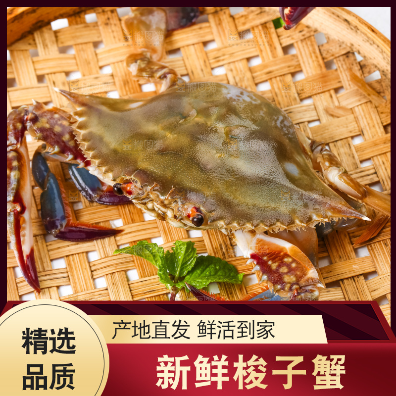 篮子里装着新鲜梭子蟹