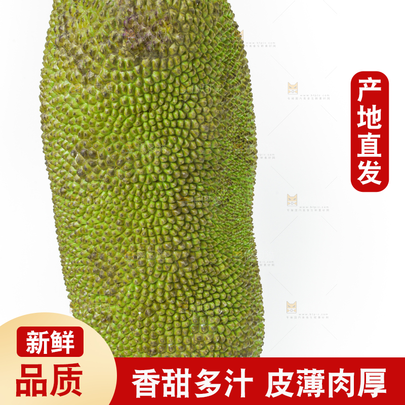 白底上放着一个完整的菠萝蜜