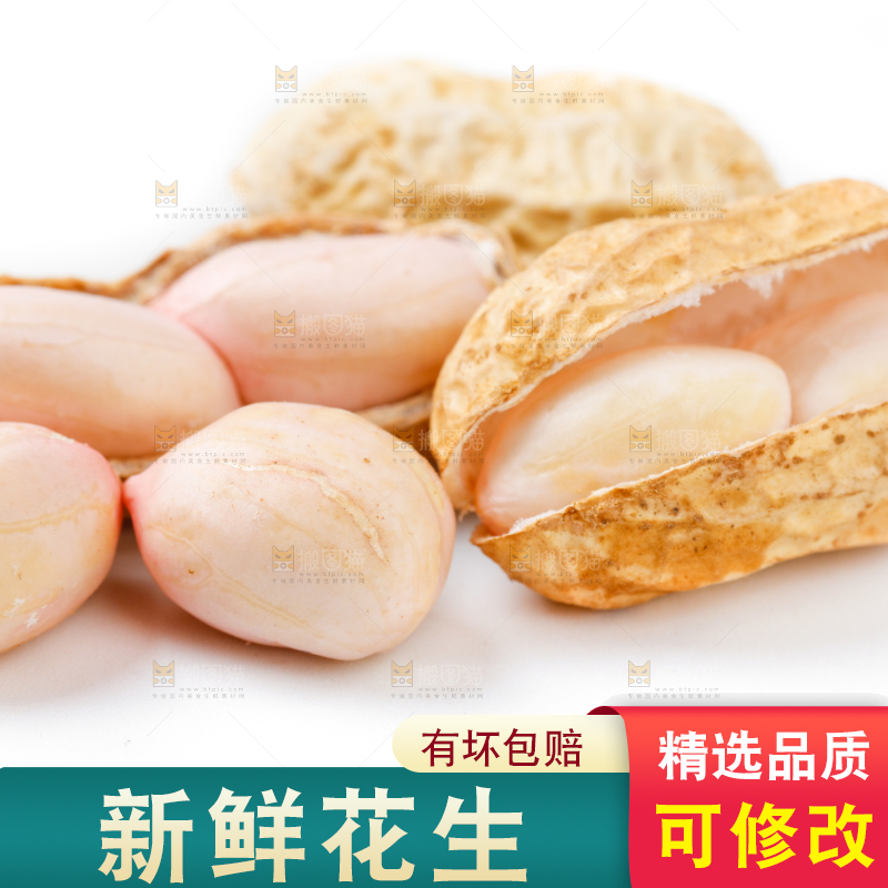 白底上的新鲜带壳花生