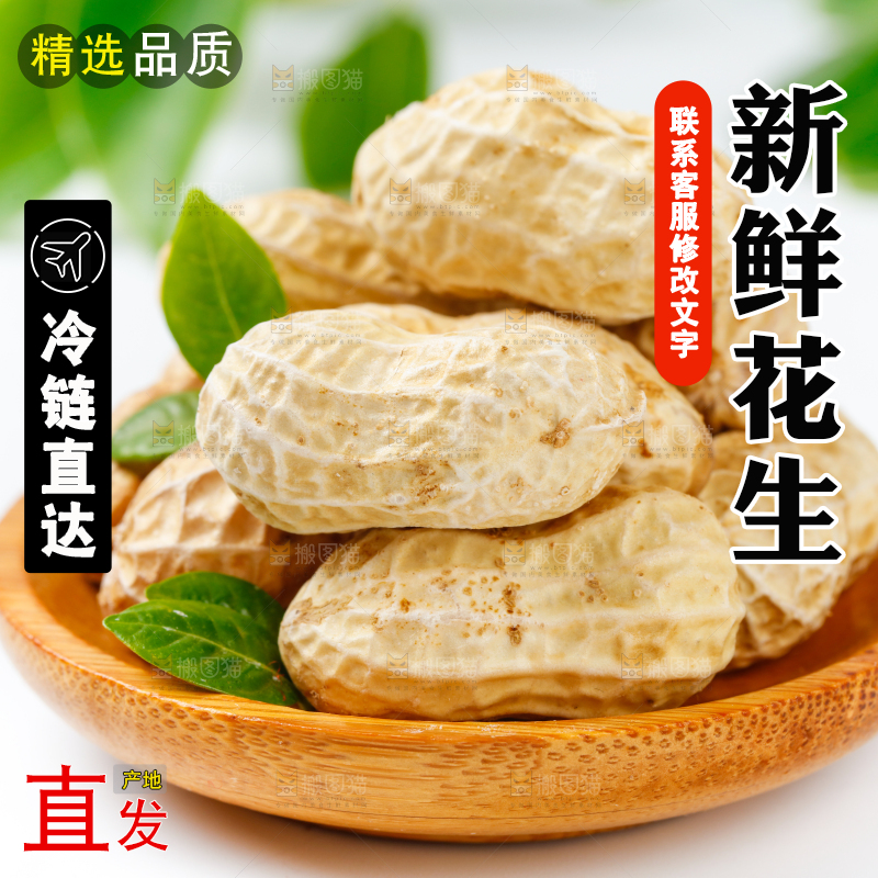 白底上盘子里的生花生