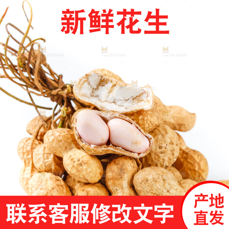 白底上放着一堆新鲜花生