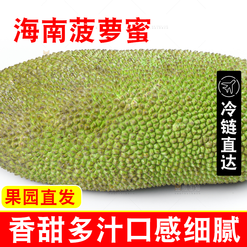 白底上放着一个完整的菠萝蜜