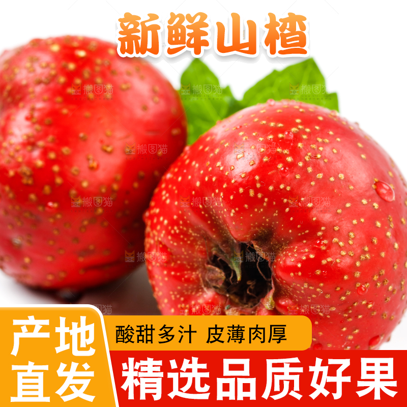 白底上的山楂果