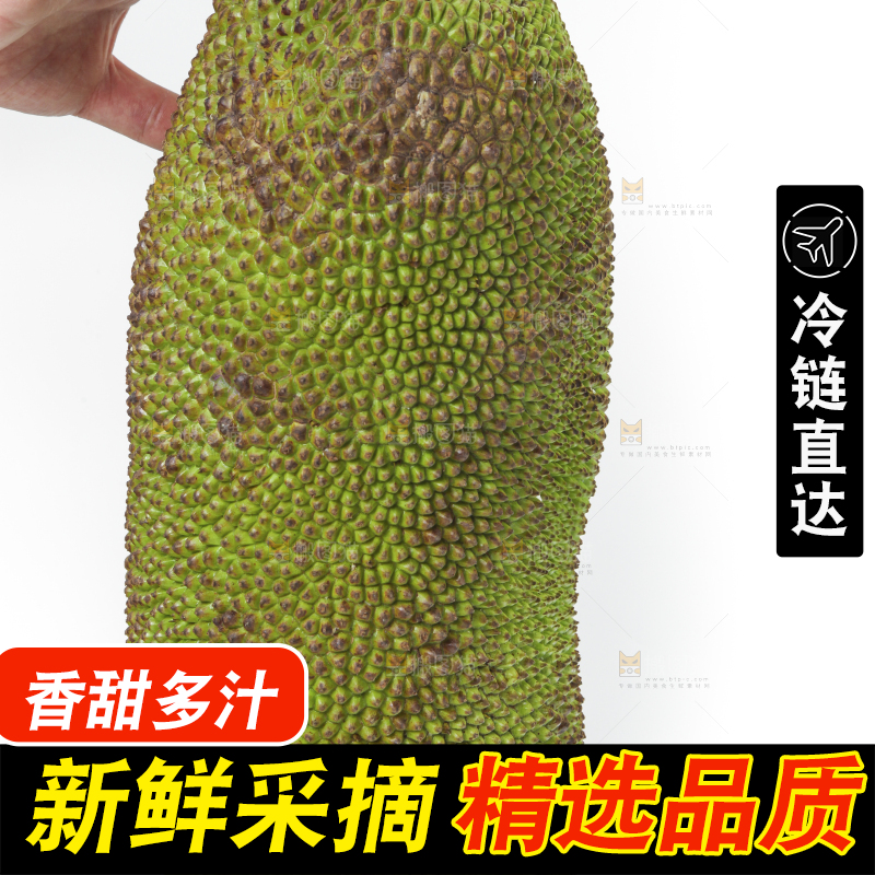 白底上放着一个完整的菠萝蜜