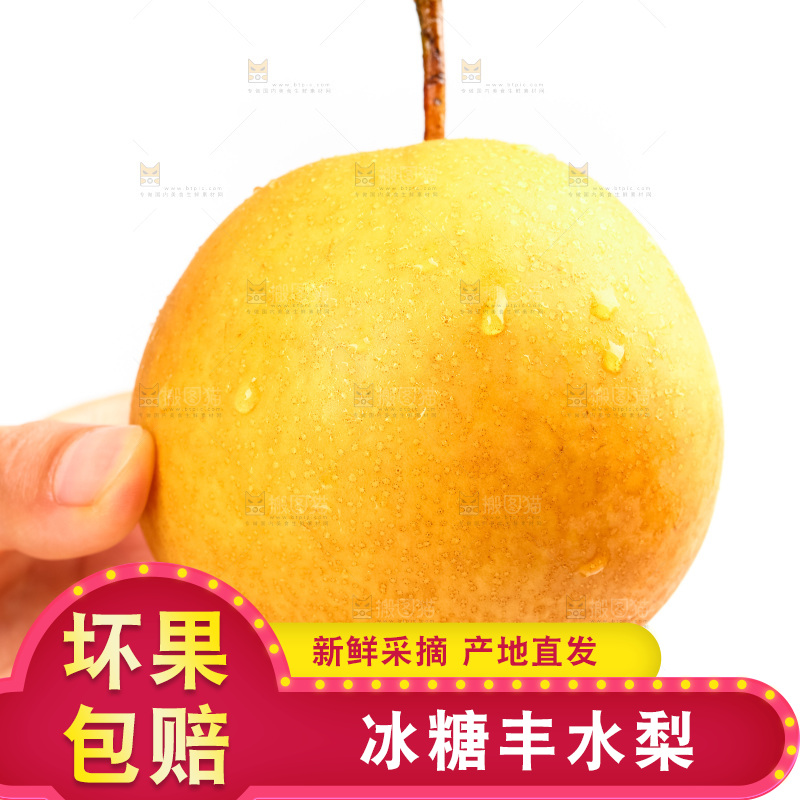 手里拿着丰水梨