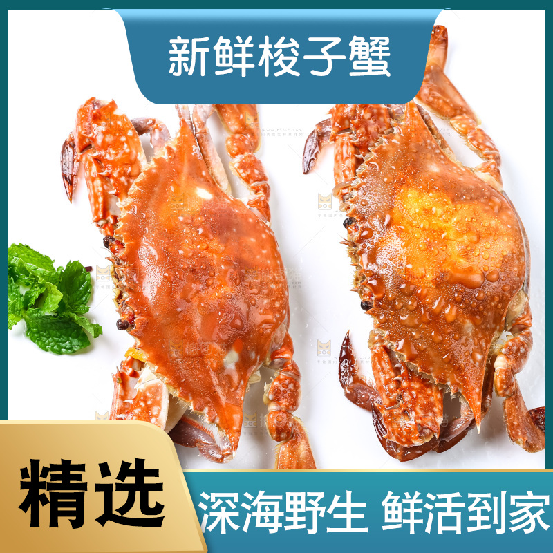 白底上摆放着舟山梭子蟹