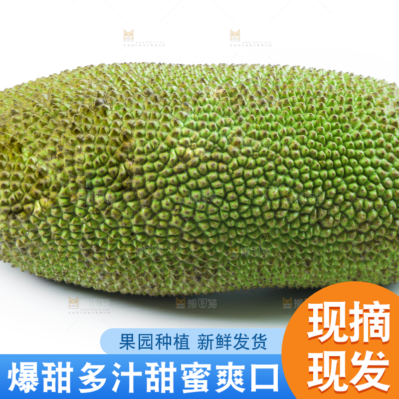 白底上放着一个完整的菠萝蜜