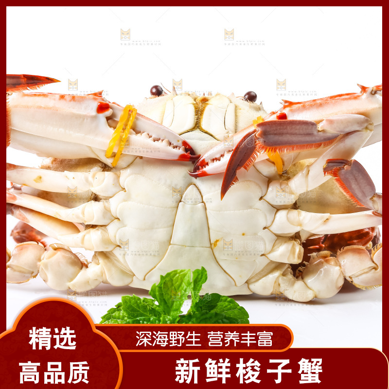 白底上摆放着舟山梭子蟹