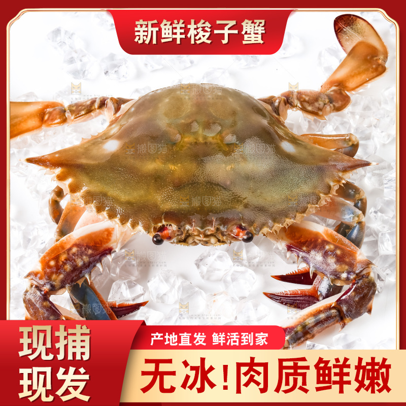 白底上放着海螃蟹