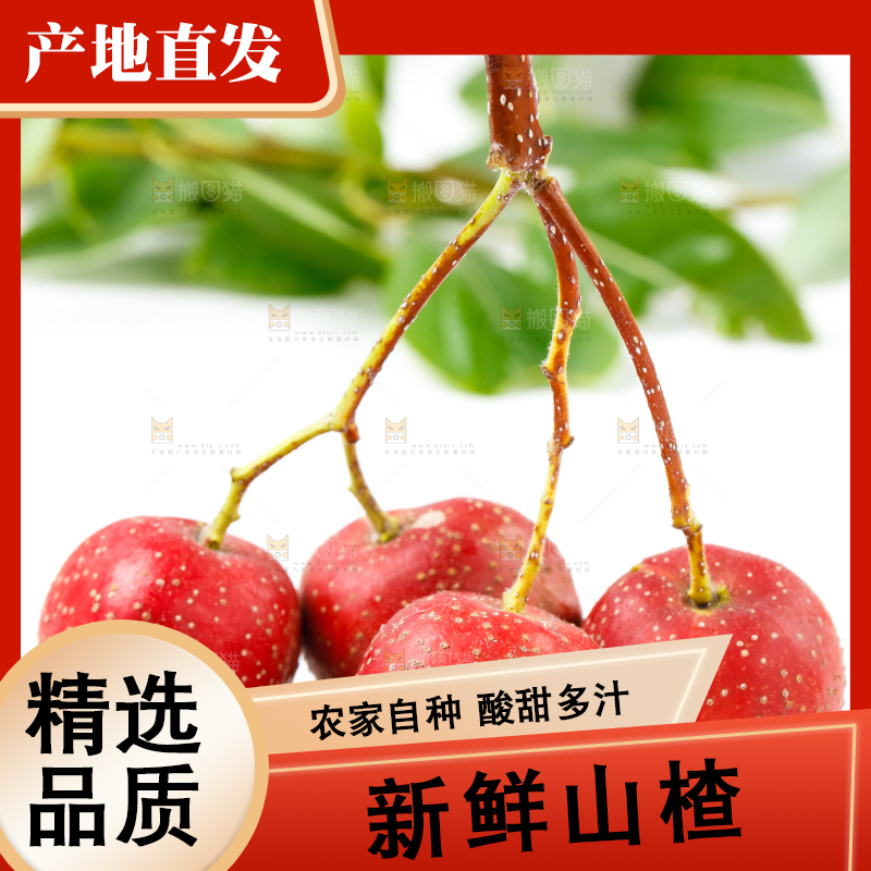 白底上的山楂