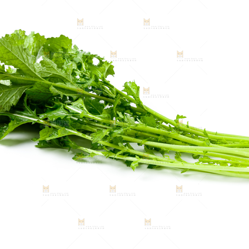 白底上的腊菜
