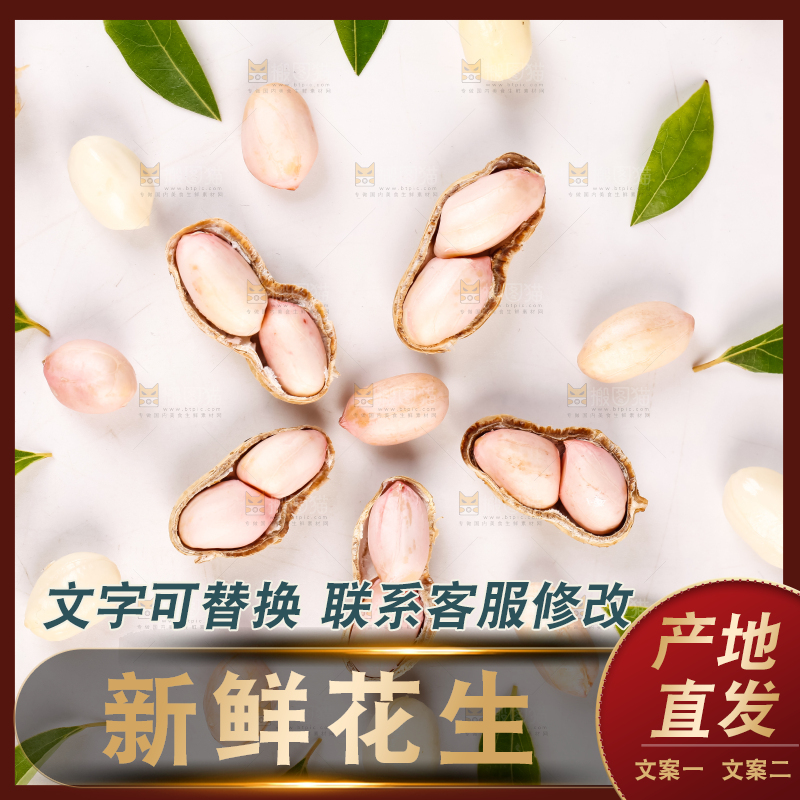 白底上的花生和花生米