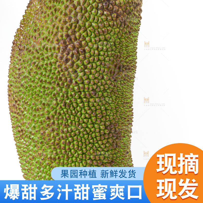 白底上放着一个完整的菠萝蜜