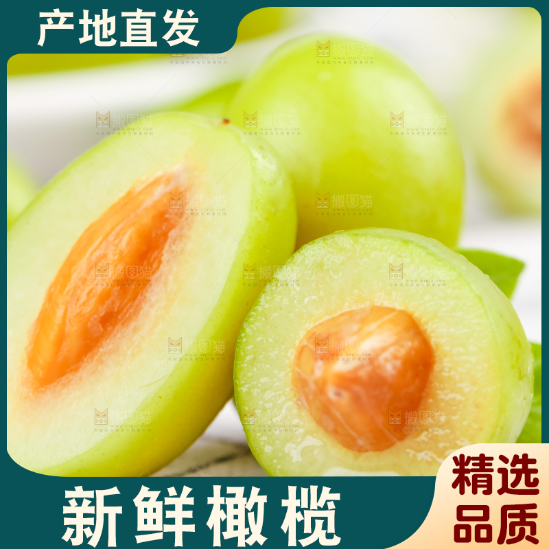 格子底上的香草橄榄