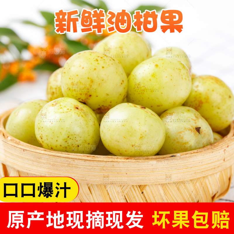 白格子上的牛甘果