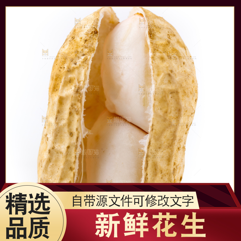 白底上的新鲜带壳花生