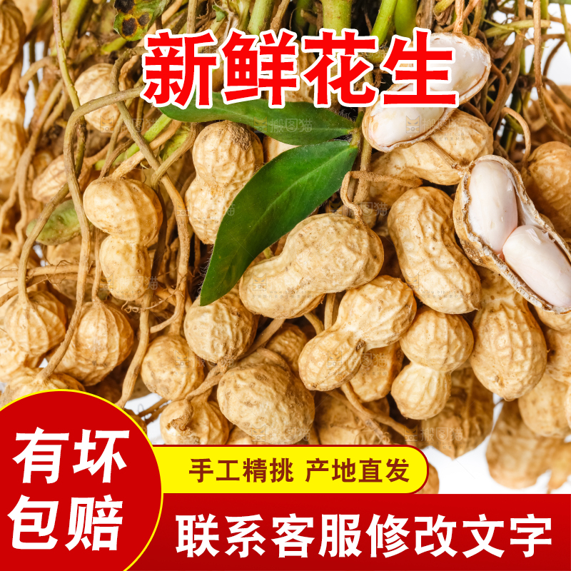 一堆新鲜带壳的花生