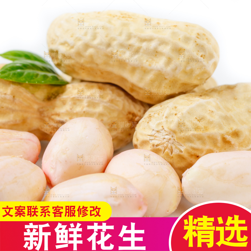 白底上的湿花生和花生米