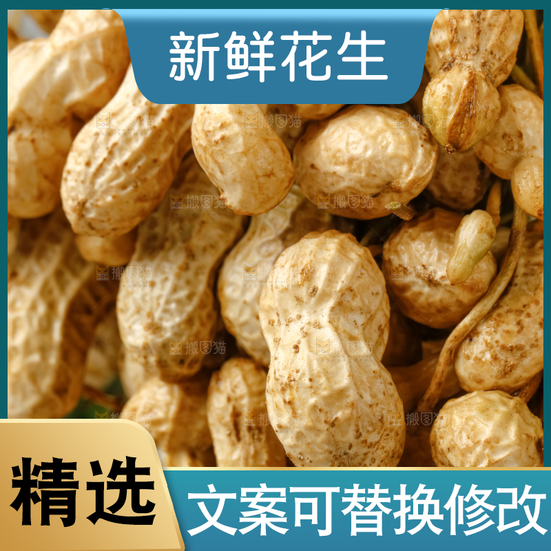 白底上放着一堆新鲜带壳花生