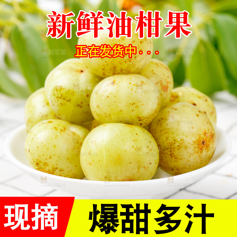 白格子上的牛甘果