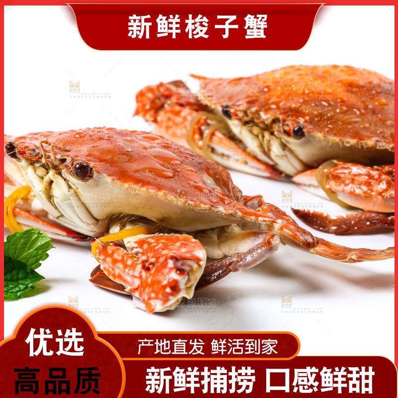 白底上摆放着舟山梭子蟹