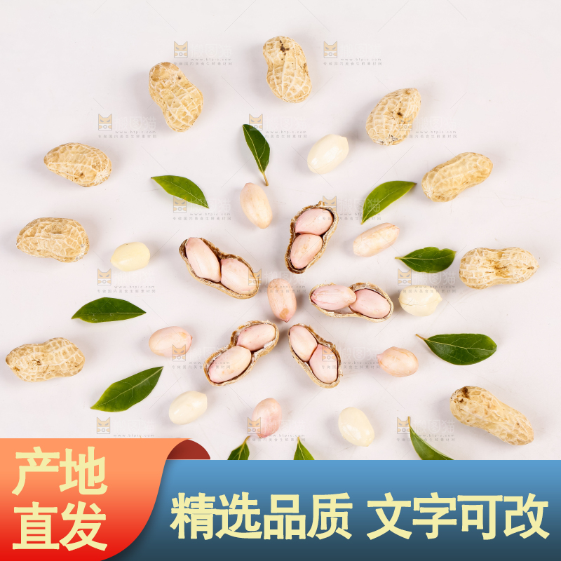 白底上的生花生