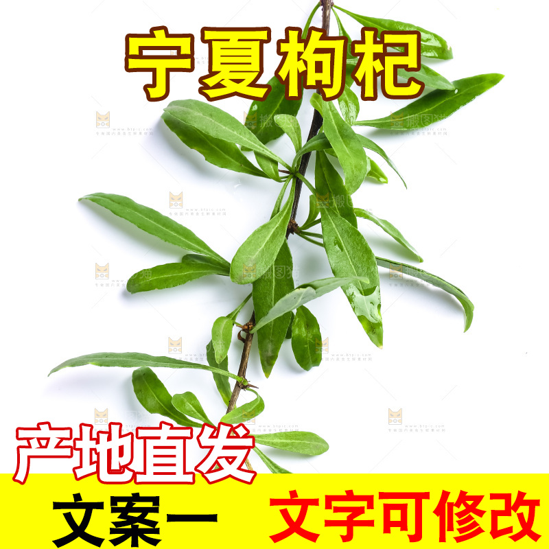 白底上放着枸杞树枝