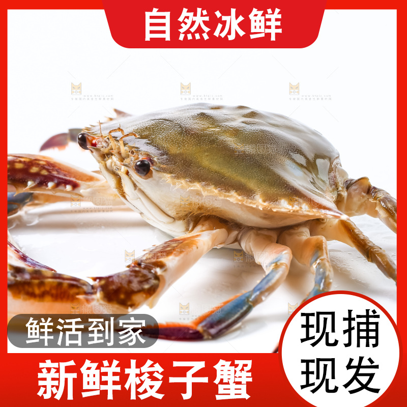白底上摆放着舟山梭子蟹