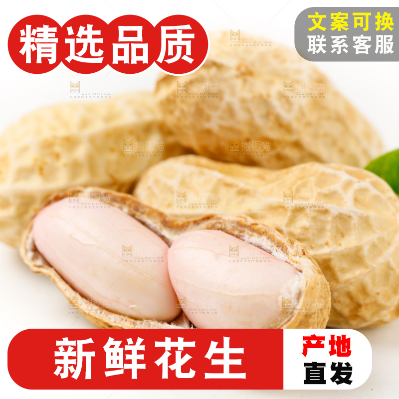 白底上的湿花生和花生米