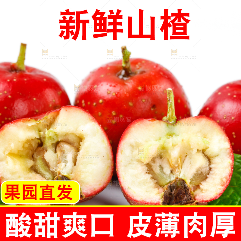 白底上的山楂果