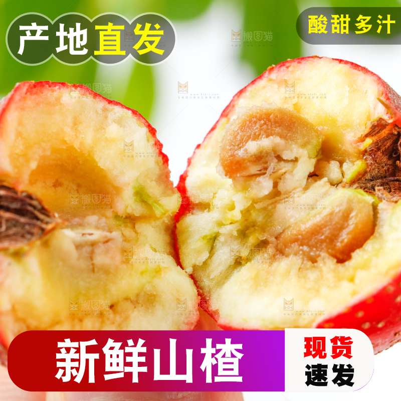 白底上的新鲜山楂