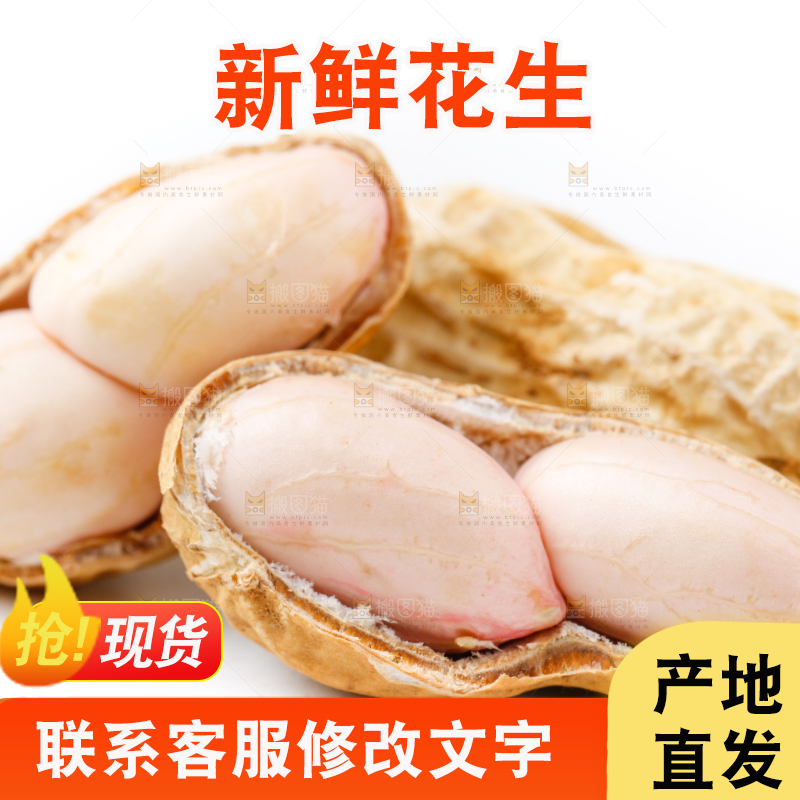 白底上的新鲜带壳花生